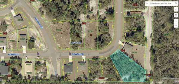 317 Bowfin Drive, POINCIANA, FL 34759