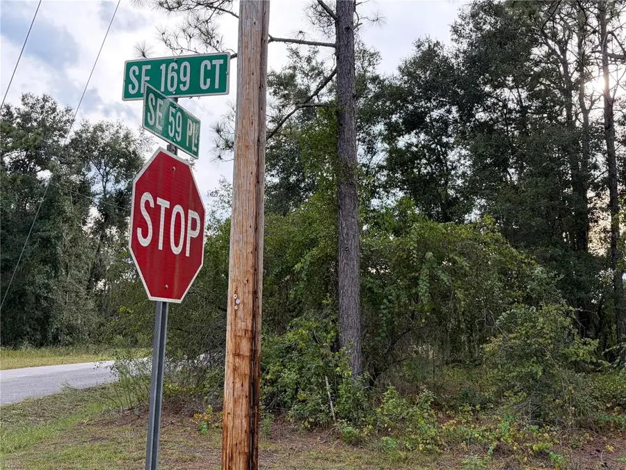 00 Corner Se 169th Ct & Se 59th Place, Ocklawaha, FL 32179 - #3