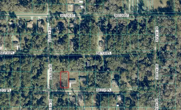 4203 SE 131st Place, BELLEVIEW, FL 34420