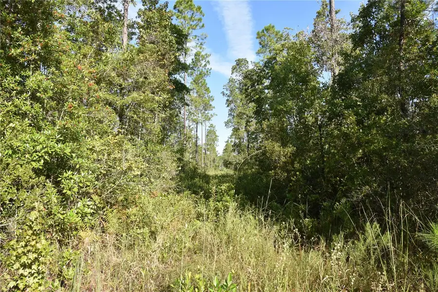 Off Ne 212th St., Fort McCoy Anthony, FL 32134 - #3