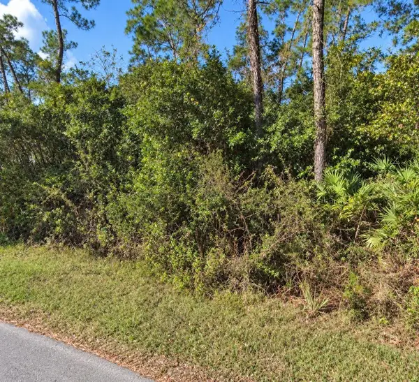 Coon Road, ASTOR, FL 32102