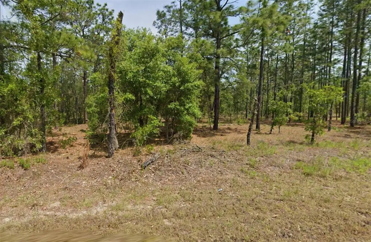00 NW Columbine Avenue, Dunnellon, FL 34431 - #1