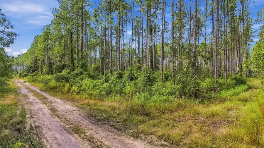 0 Doc Smith Road, Bronson, FL 32621 - #3