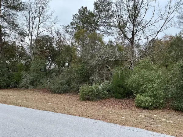 SW 137th Loop, OCALA, FL 34473