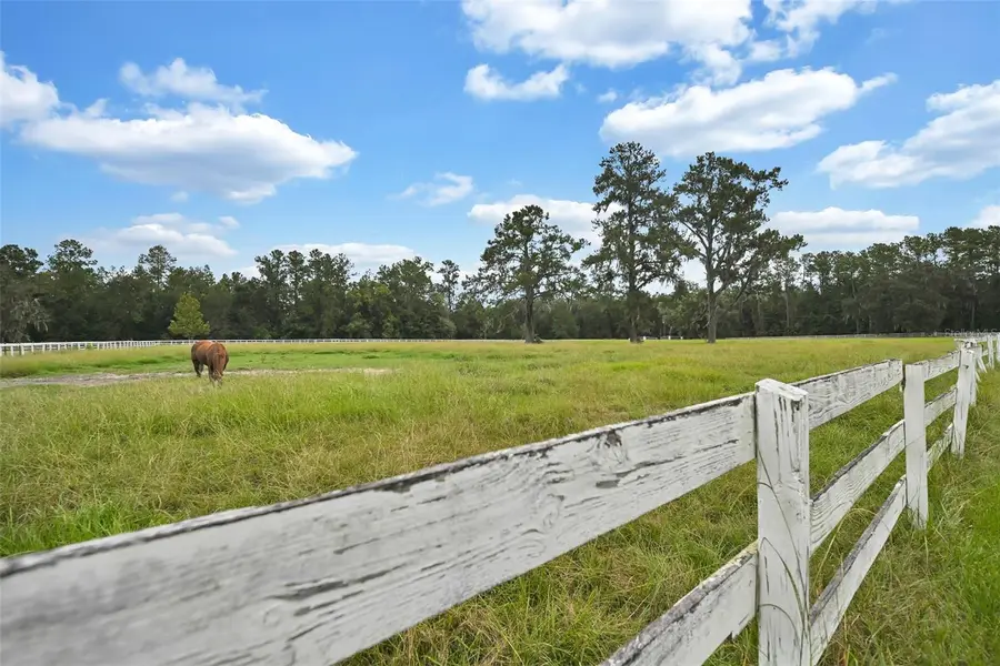 19566 NW 123rd Court, Micanopy, FL 32667 - #2