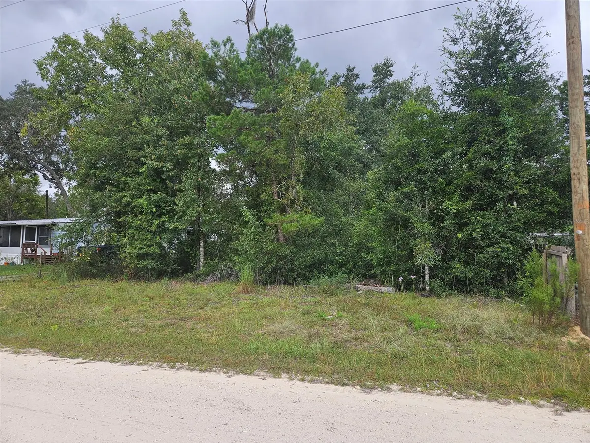 0000 NE 141st Avenue, Williston, FL 32696 - #1