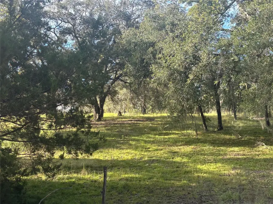 21030 SE 66th Street, Morriston, FL 32668 - #3