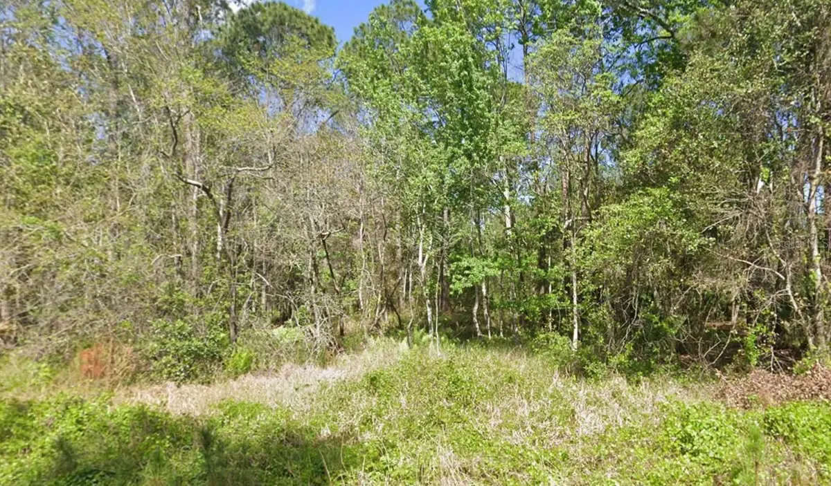 217 Dogwood Avenue, Georgetown, FL 32139 - #1