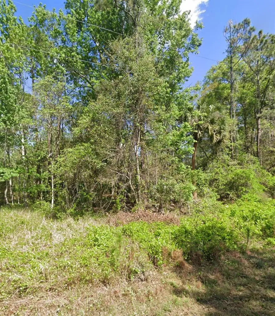 217 Dogwood Avenue, Georgetown, FL 32139 - #3