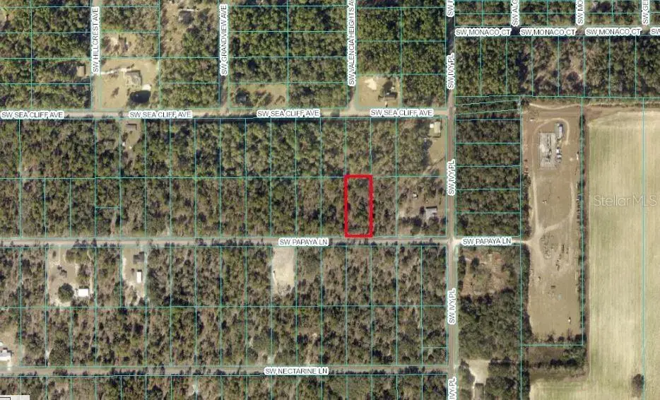 TBD SW Papaya Lane, Dunnellon, FL 34431 - #1