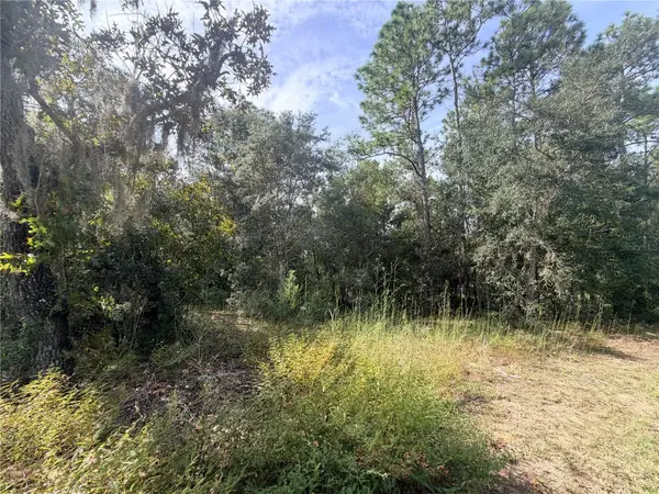 5066 E Anna Jo Drive, INVERNESS, FL 34452