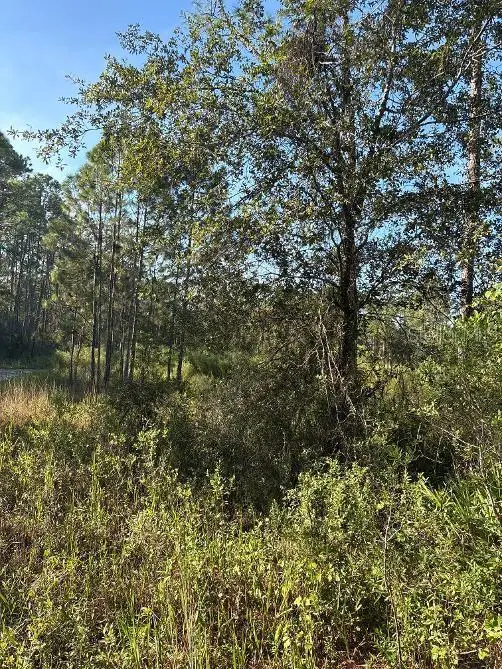 123 Rd Lane, Bronson, FL 32621 - #2
