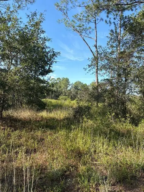 123 Rd Lane, Bronson, FL 32621 - #3