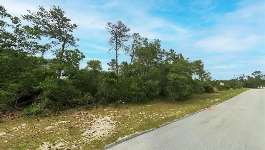 TBD Marion Oaks Golf Road, Ocala, FL 34473 - #3