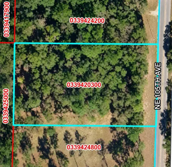 Ne 105th Avenue, BRONSON, FL 32621