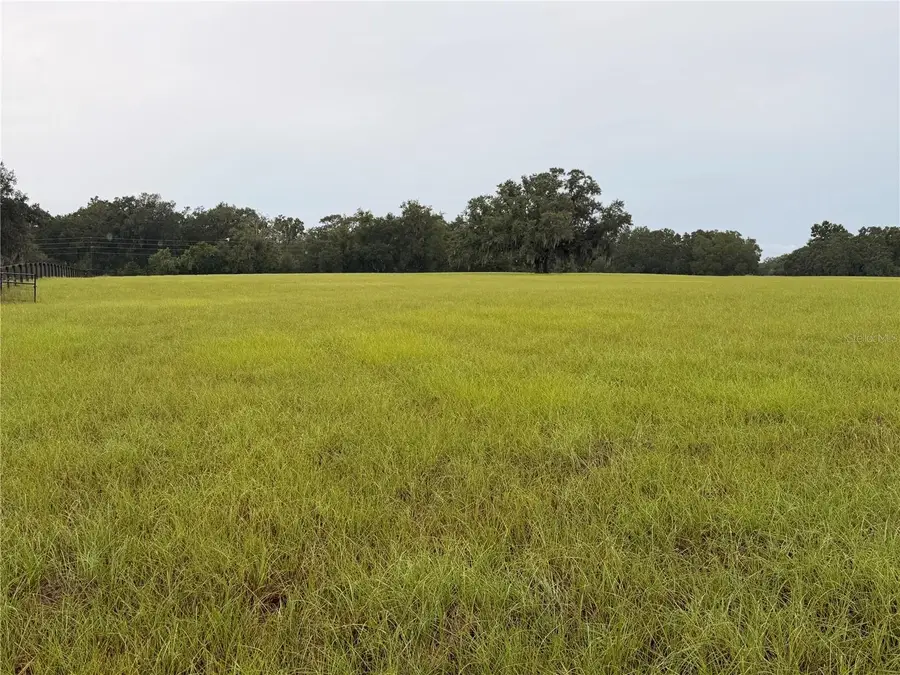 6851 SE Highway 41, Morriston, FL 32668 - #3