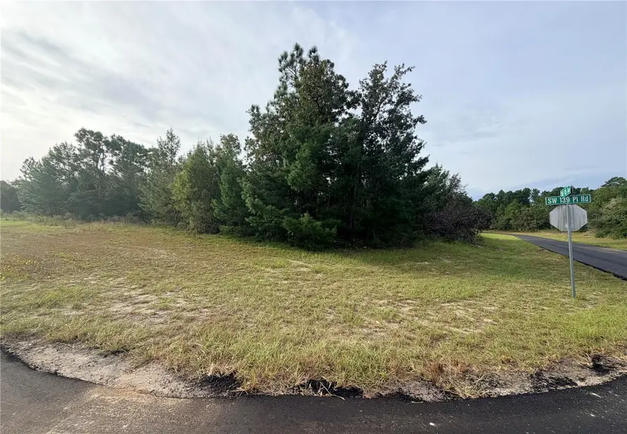 0 SW 139th Place Road, Ocala, FL 34473 - #3