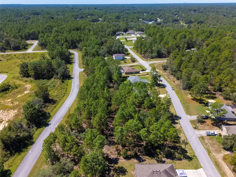 922 W Smallman Place, Citrus Springs, FL 34434 - #3
