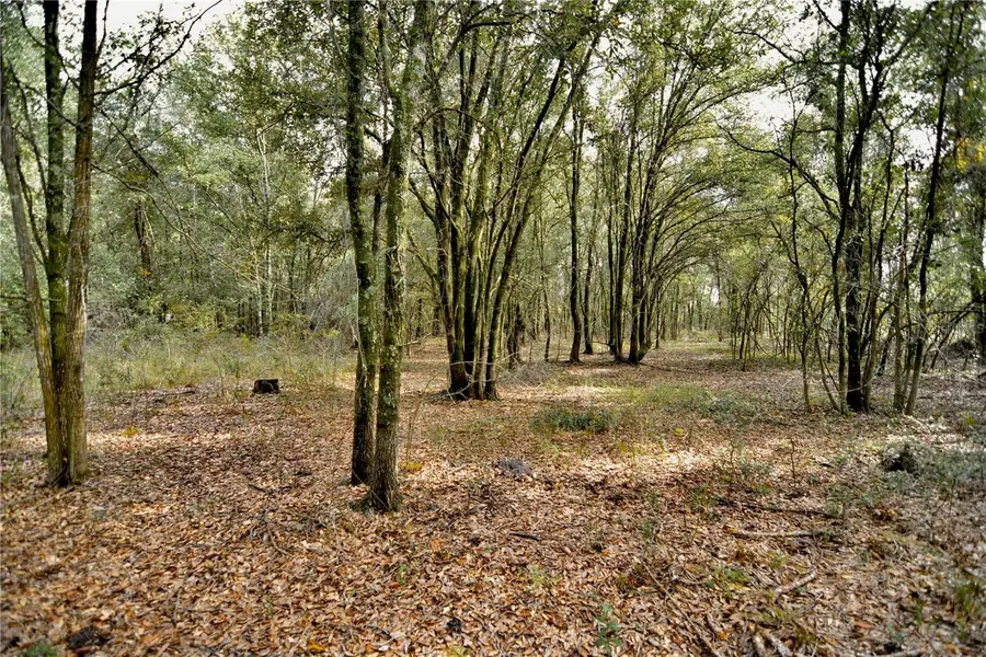 00 50th St, Live Oak, FL 32060 - #3