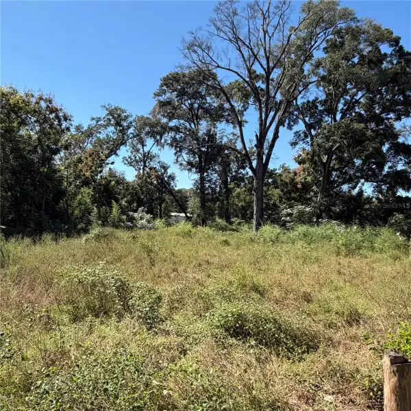 16612 SE 25th Avenue, SUMMERFIELD, FL 34491