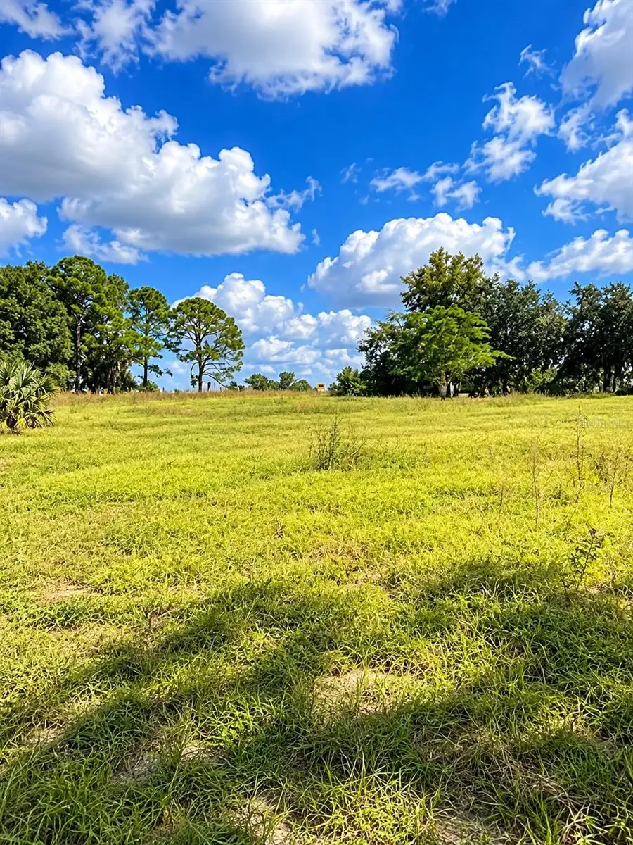 Lake Burns Road, Umatilla, FL 32784 - #2