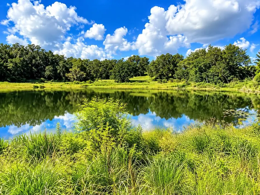 Lake Burns Road, Umatilla, FL 32784 - #3