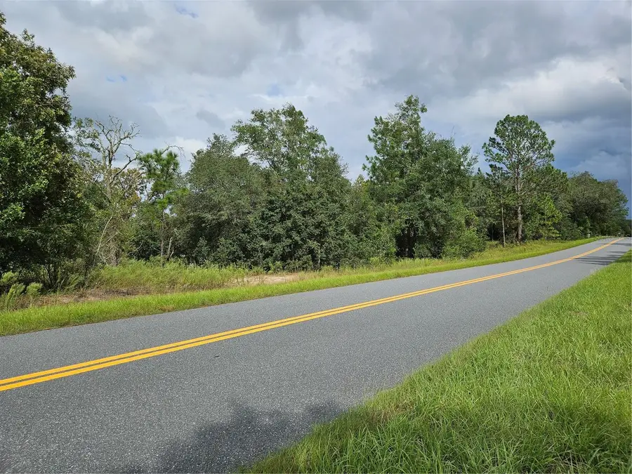 TBD SW Beach Boulevard, Dunnellon, FL 34431 - #3