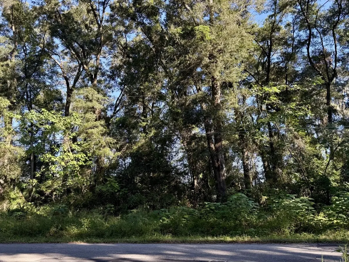 TBD NW 65th Place, Ocala, FL 34471 - #1