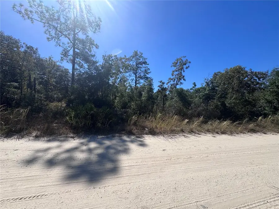 TBD NE 64th Street, Williston, FL 32696 - #3