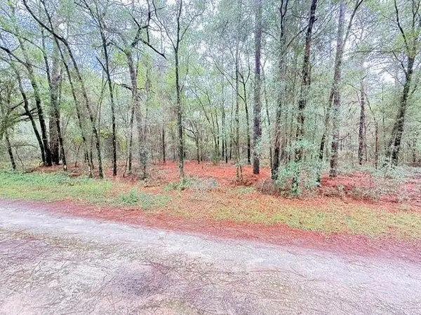 000 SW 10th Pl, OCALA, FL 34481