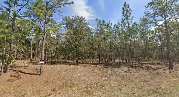 138th Terrace Sw, OCALA, FL 34473