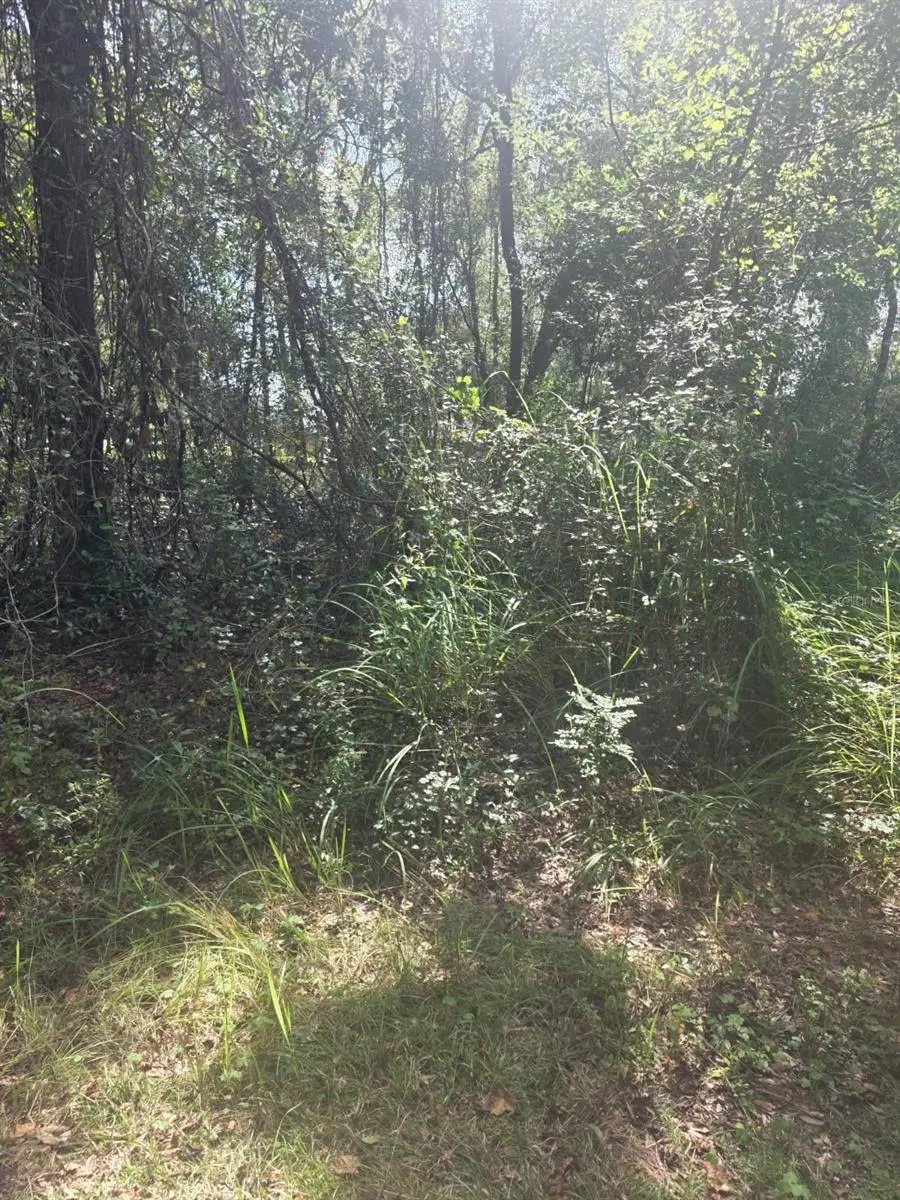 TBD SE 136th Lane, Belleview, FL 34420 - #1