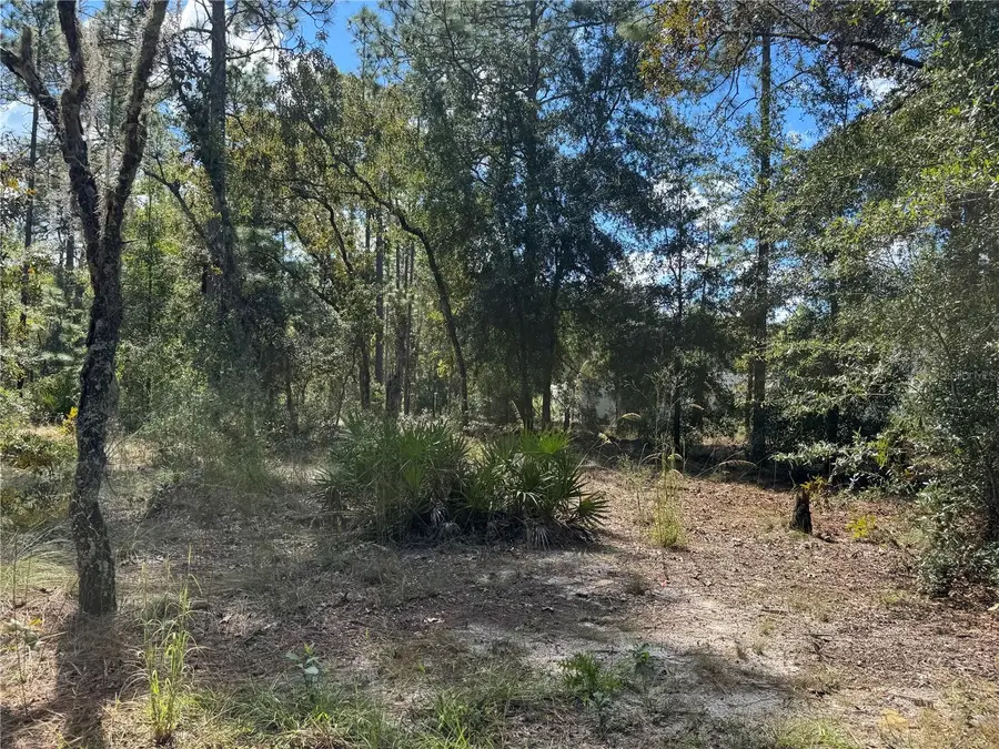 Lot 21 SW 157th Court, Ocala, FL 34481 - #3