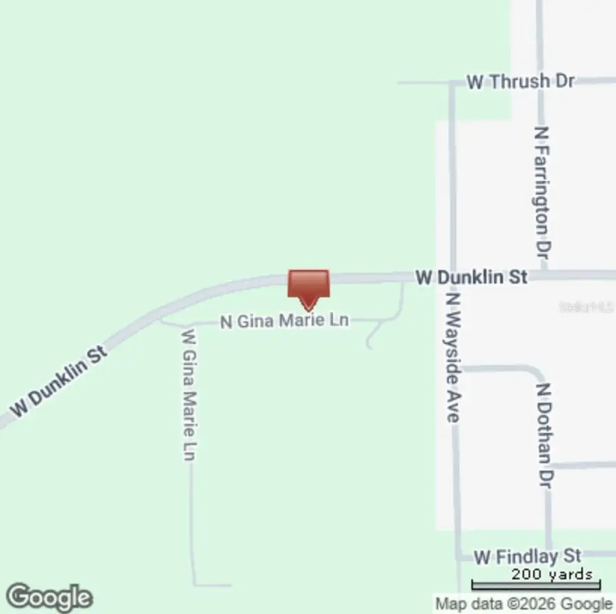 4600 W Dunklin Street, Dunnellon, FL 34433 - #3