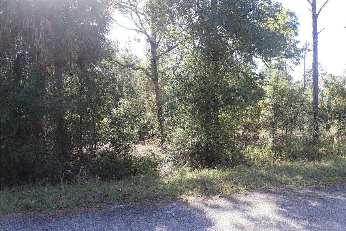 5756 W Connetquot Place, Dunnellon, FL 34433 - #1