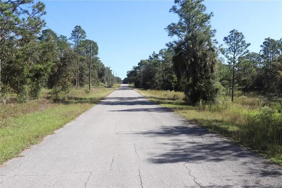 5756 W Connetquot Place, Dunnellon, FL 34433 - #2