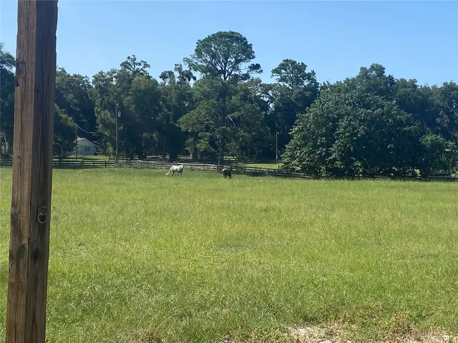 14421 SW 14th Street, Ocala, FL 34481 - #3