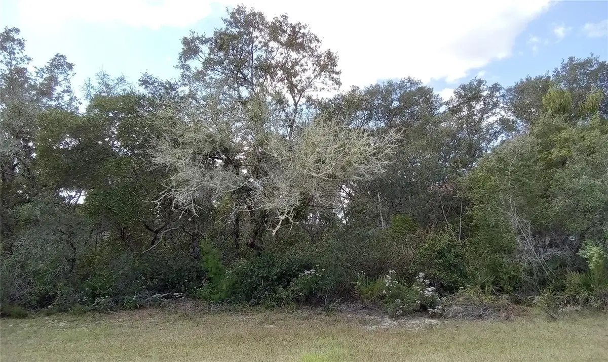 SW 24th Circle, Ocala, FL 34473 - #1
