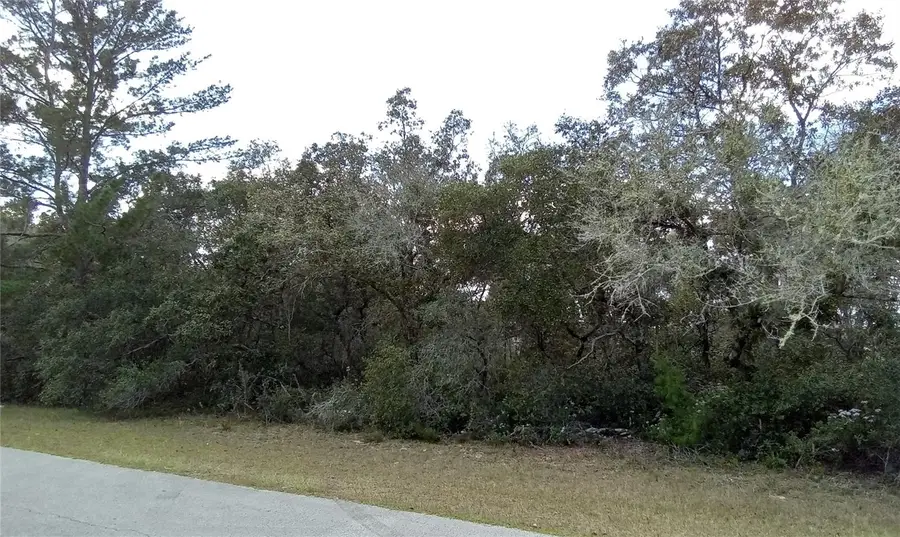 SW 24th Circle, Ocala, FL 34473 - #3