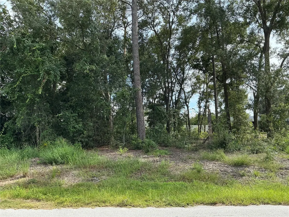 SE 159th Place, Summerfield, FL 34491 - #1