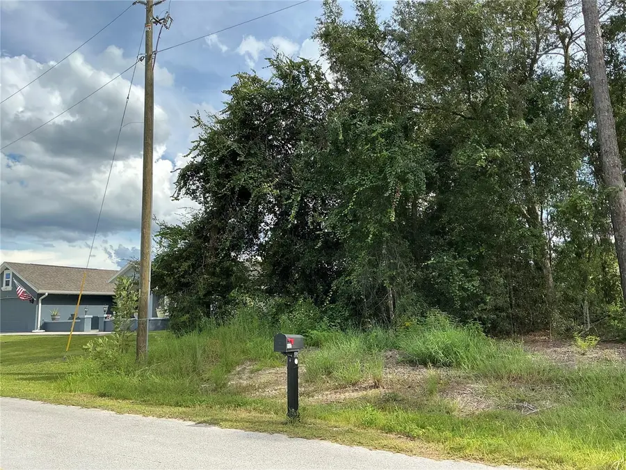 SE 159th Place, Summerfield, FL 34491 - #3