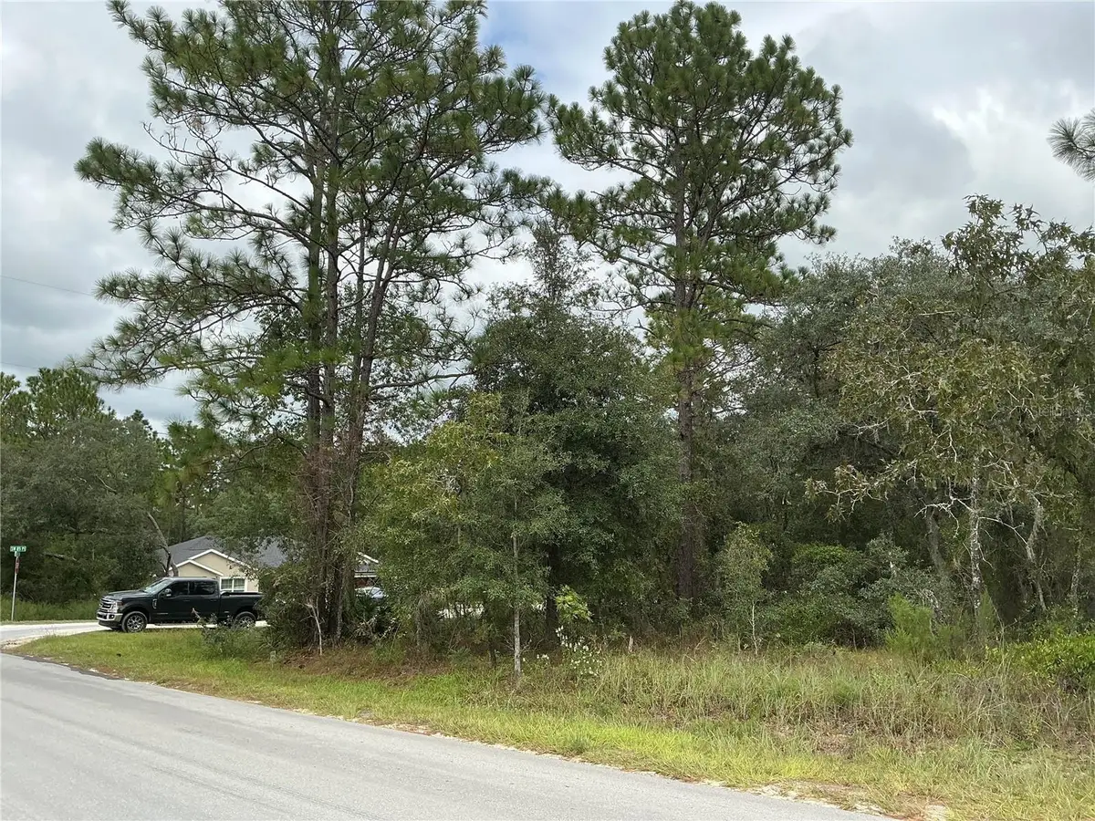 SW 85th Place, Ocala, FL 34473 - #1