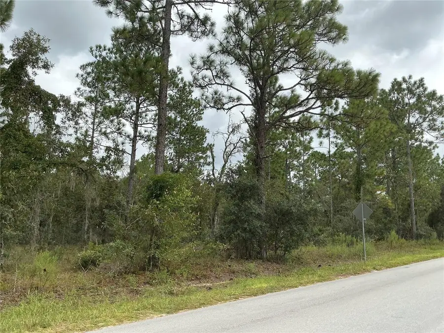 SW 85th Place, Ocala, FL 34473 - #3