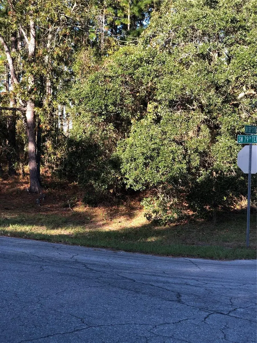 Sw 79 Terrace Road, Ocala, FL 34473 - #1