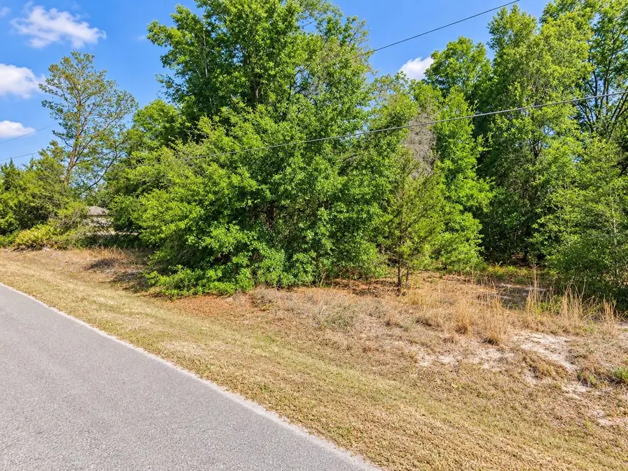 SE 108th Place, Belleview, FL 34420 - #3