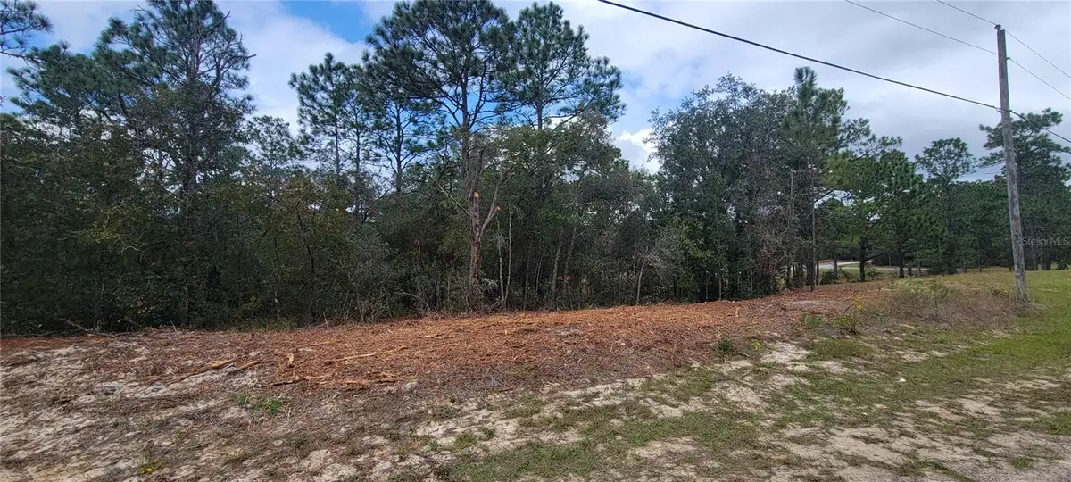 9172 N Marcus Way, Dunnellon, FL 34433 - #1