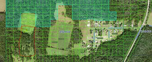 Double Diamond Drive, POLK CITY, FL 33868