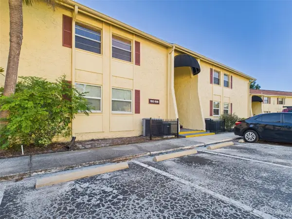 7512 Dolonita Drive, TAMPA, FL 33615