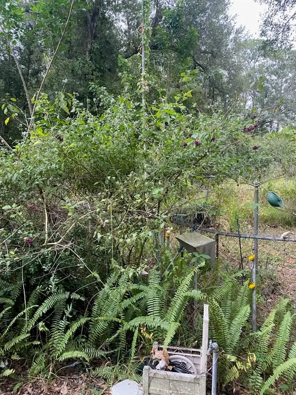 1051 Macon Road, WINTER HAVEN, FL 33884