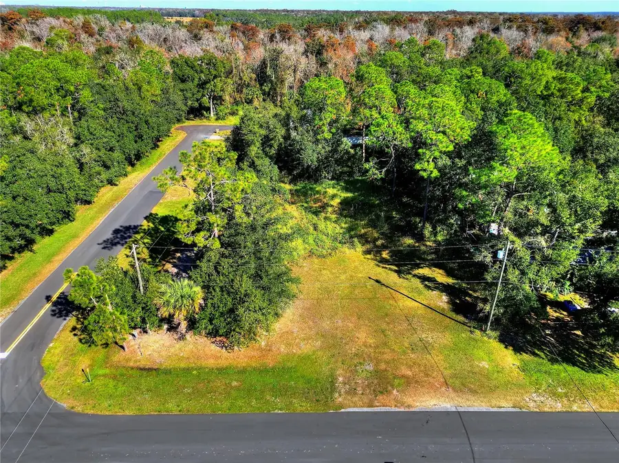 0 Intercession City, Intercession City, FL 33848 - Image #2